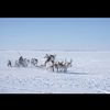 lyrmin_04