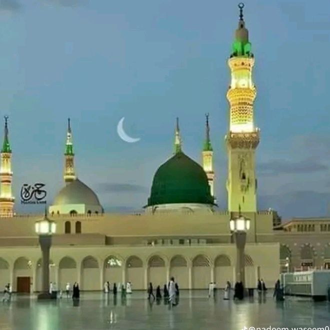 malyasali264