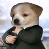 @woofdewallstreet