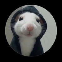 chikillocalderon
