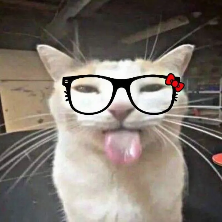 shailysnothere