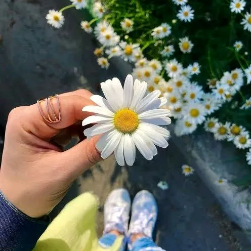 gamzelim_32