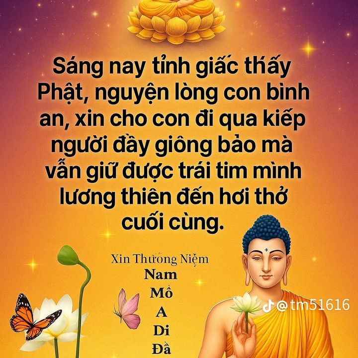 khng.c.tn698