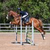 rue.rides