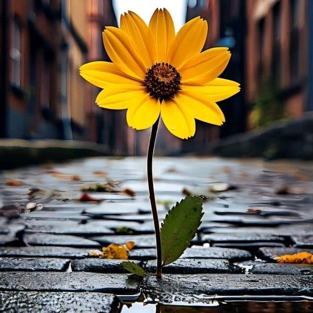 phng.nhung133