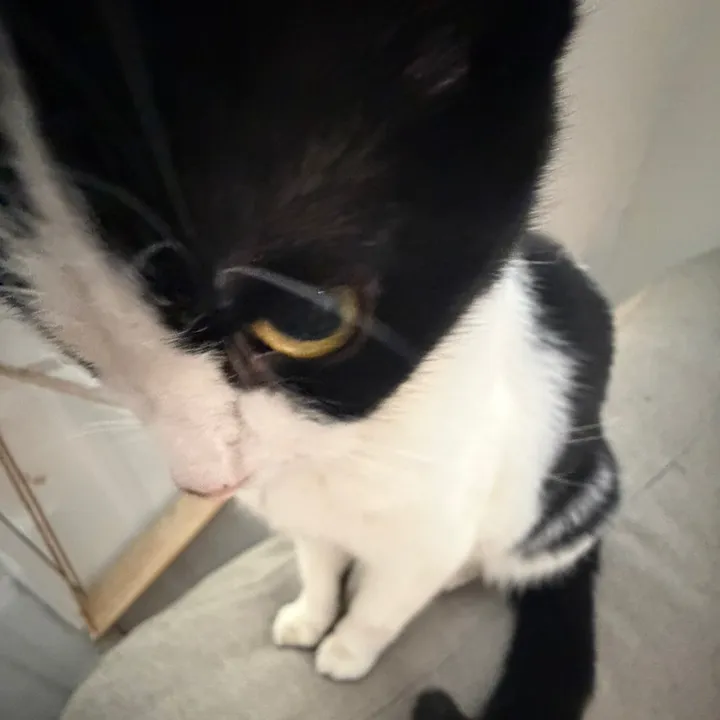 vxqwlzs