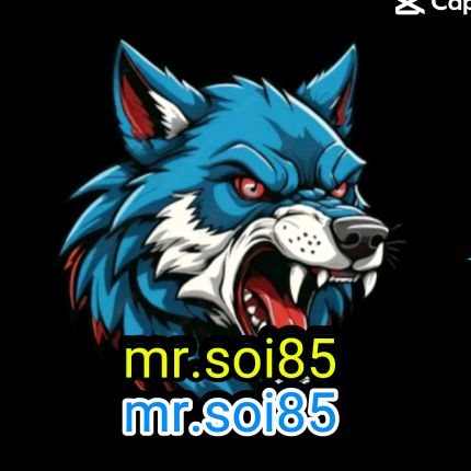 mr.soi85