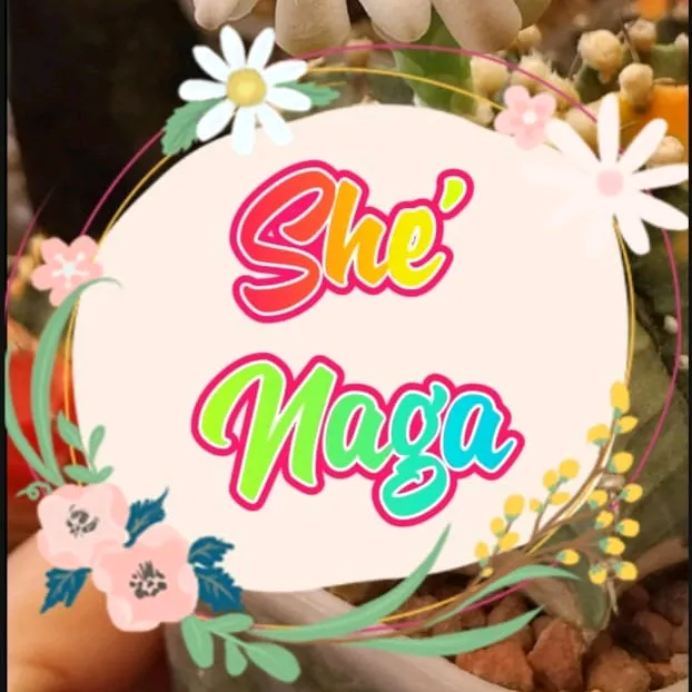 shenaga04