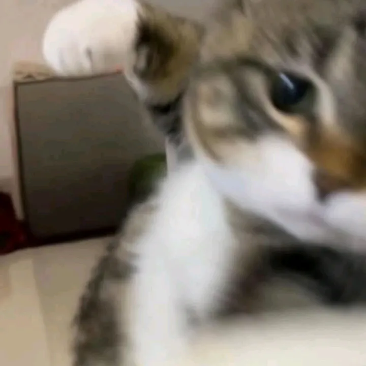 yung_cassi