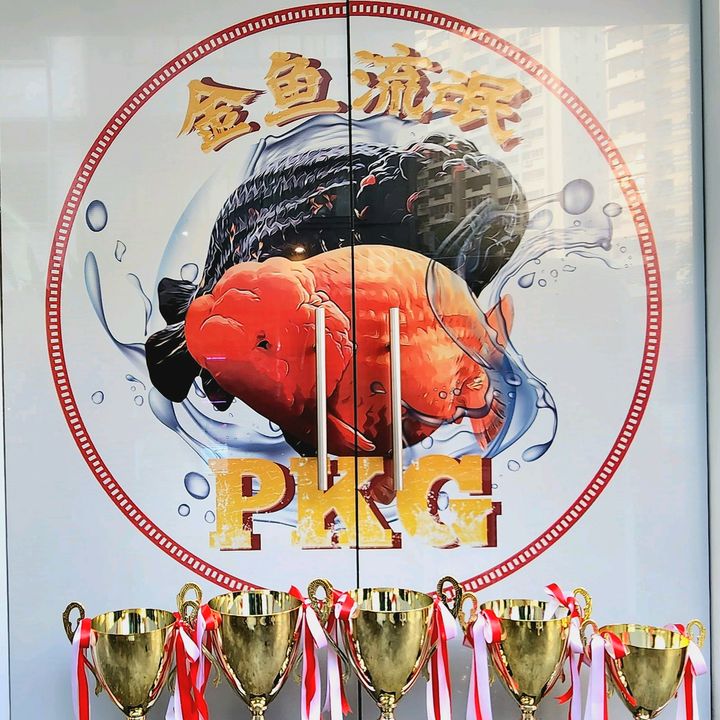 @pkgsg