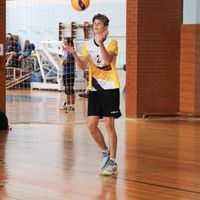 fanvolley