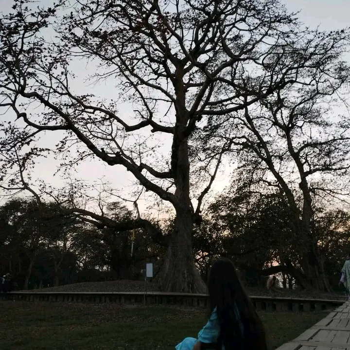sameekshaa__aryal