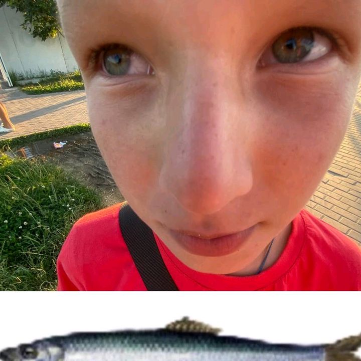 krujka_shinji