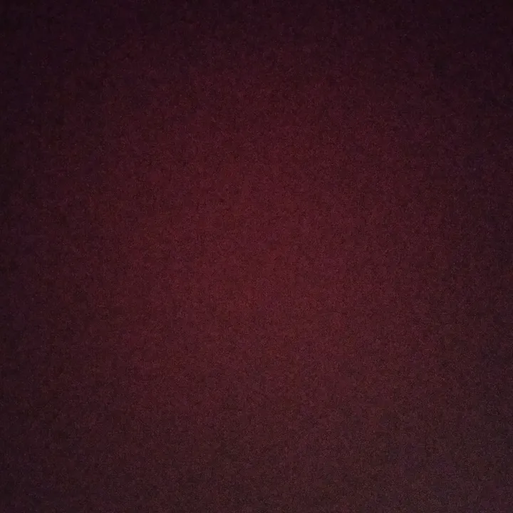 buseeymis
