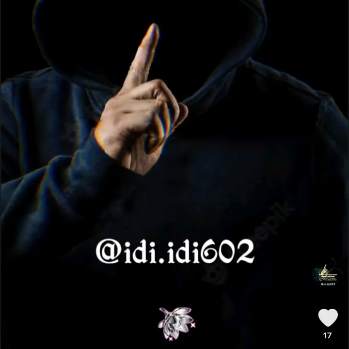 idi.idi602