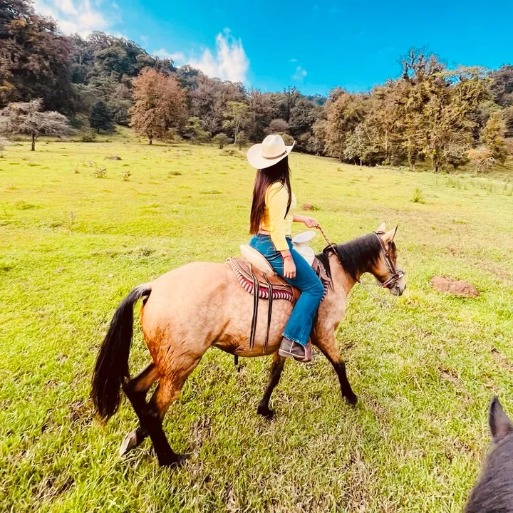 karla.zamoraa