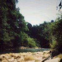 _razhaprtm