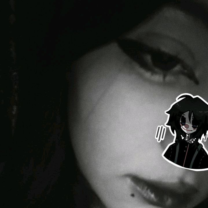 linazxc_228