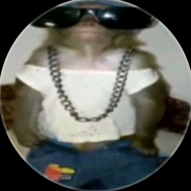 el.meneadordechapa