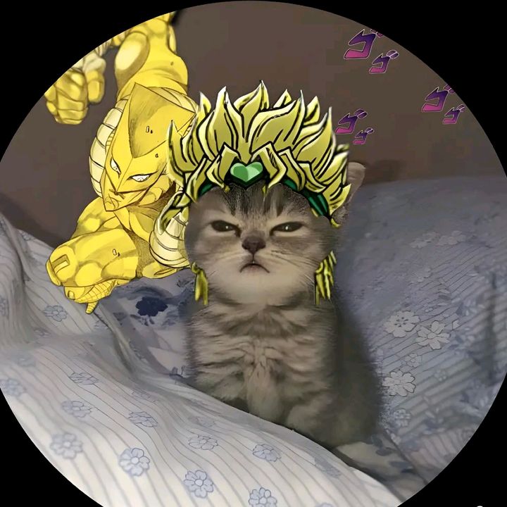 toprakuraz9