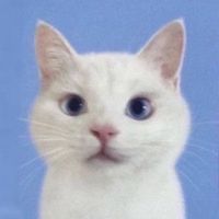 _mmlli1
