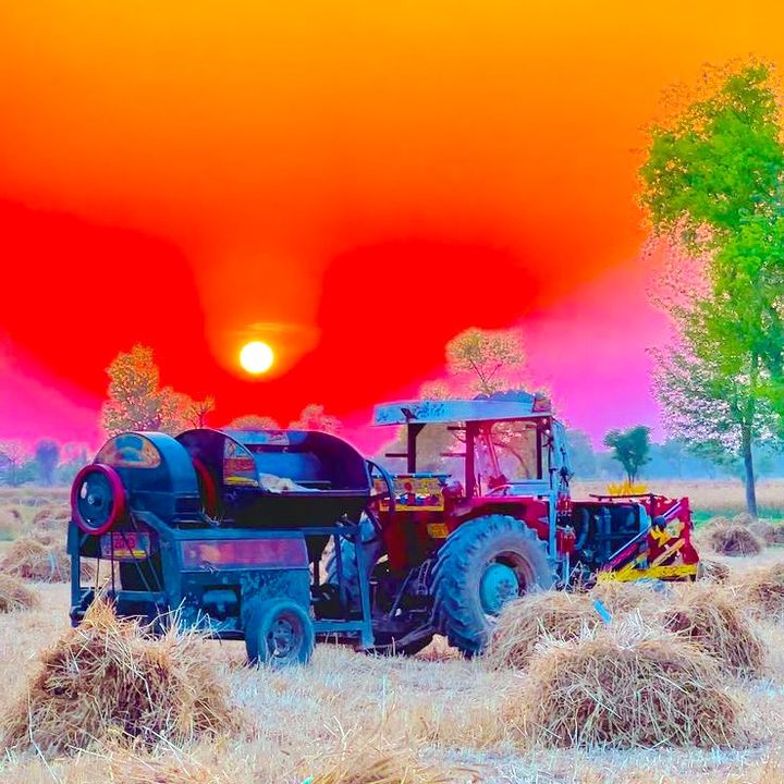 punjab_de_rang1