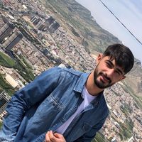 vezir.bngl