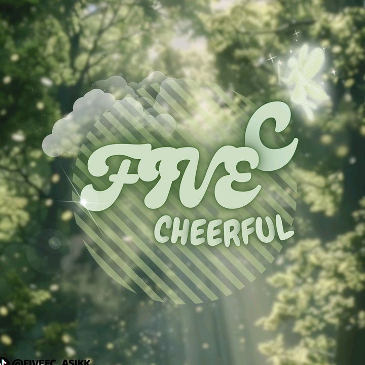 fiveec_asikk
