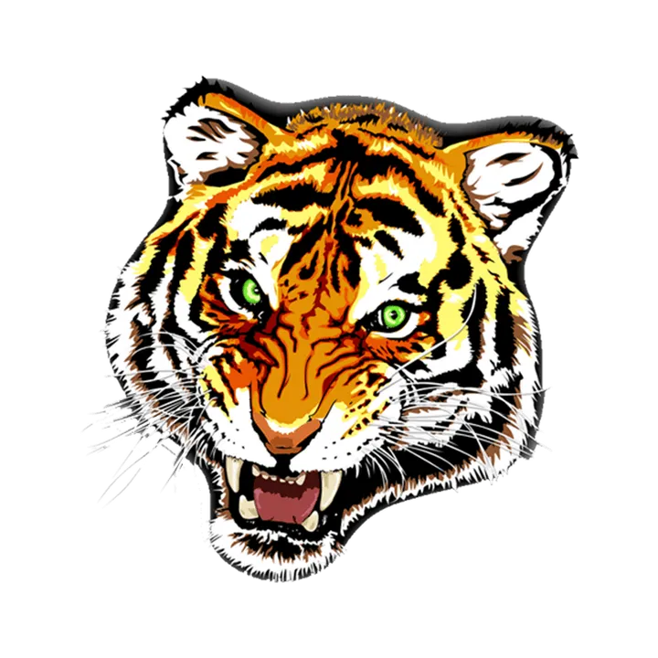 pavanpj48