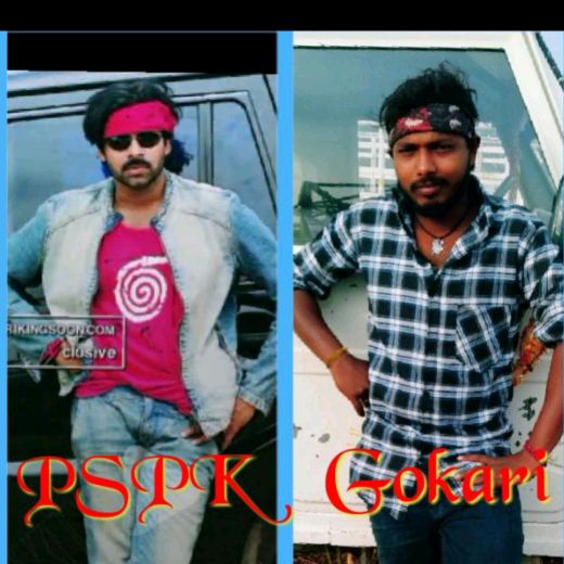 gokari_pspk713