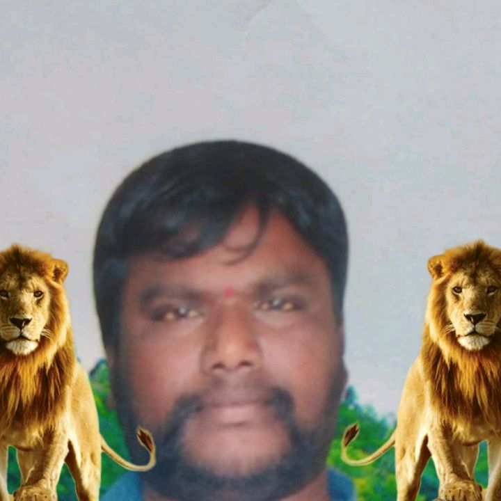 user4448668455011143