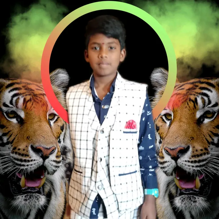sathwik3110
