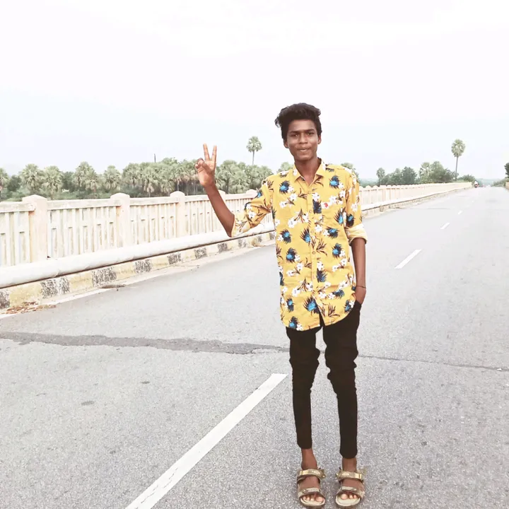 vinaynanistunt