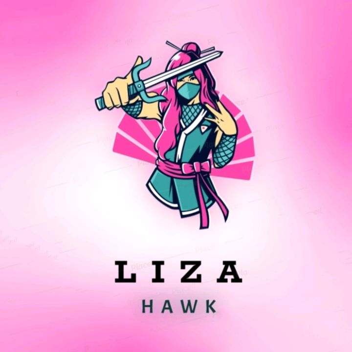 lizahawkgaming