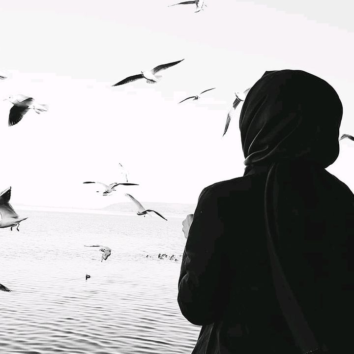 caneezfateemah5