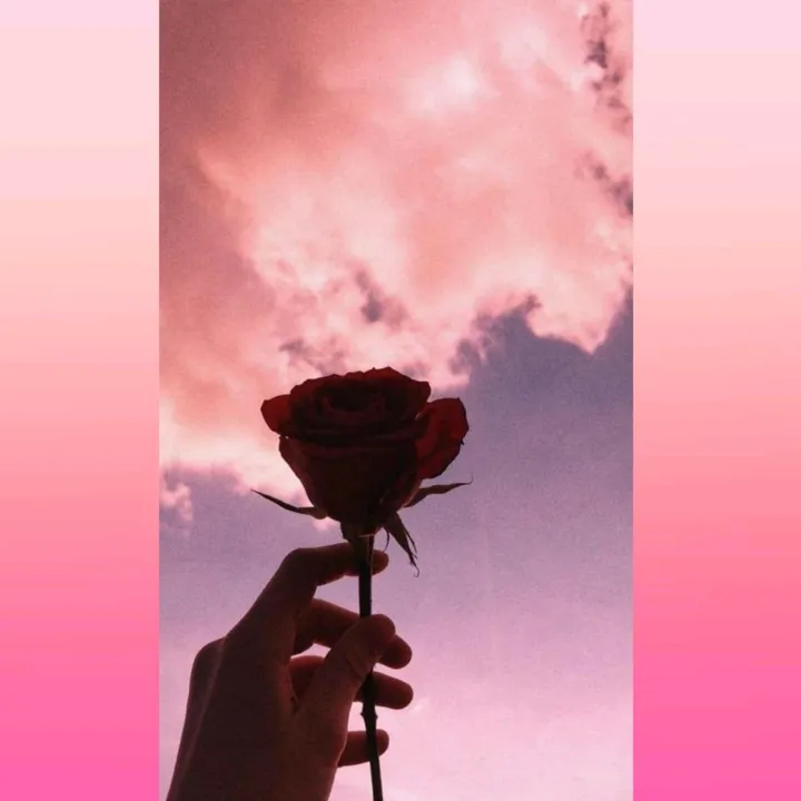 user6n5ff7dsf2