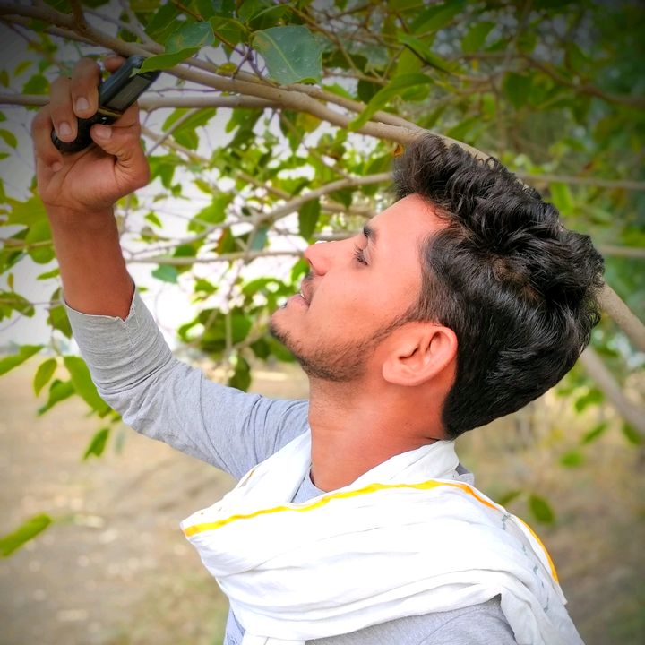 golu_trikal