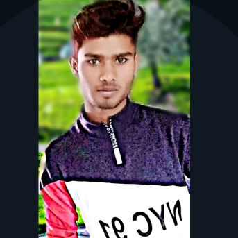 ved.4