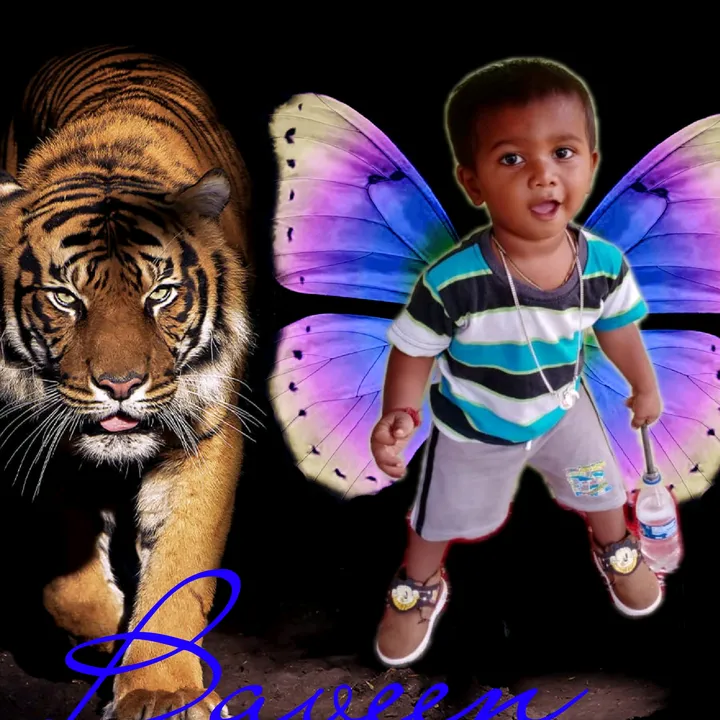sudhirbayaa1