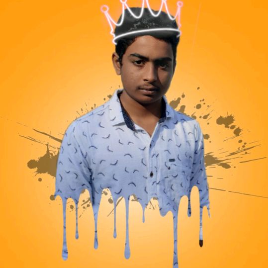 shankargonugunta
