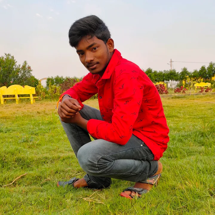 bgopigopi81