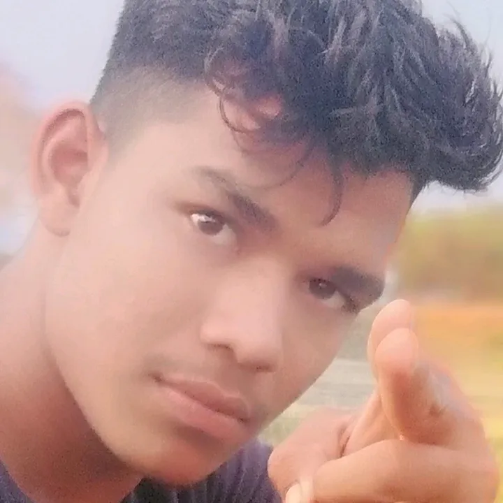 lipunkumarpadhan