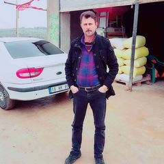 turkikorak0