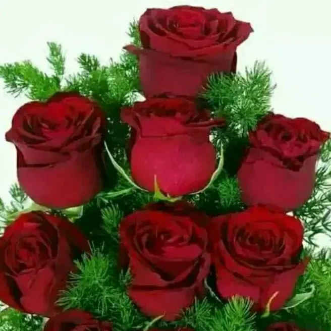 gitanjalisethi894