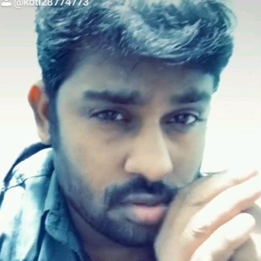 koti28774773
