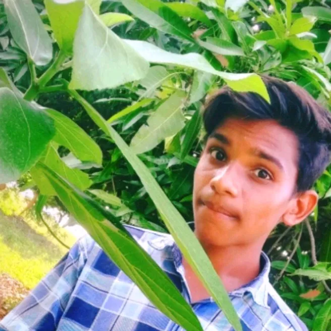 murikiravinder6