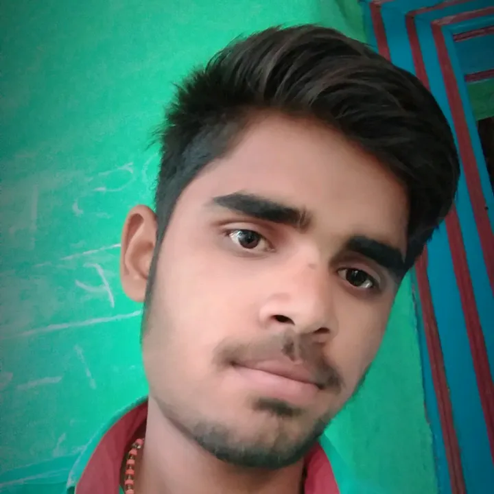 robilgour556