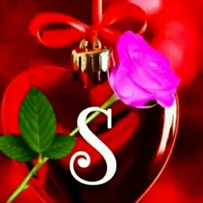 shabeenashonu