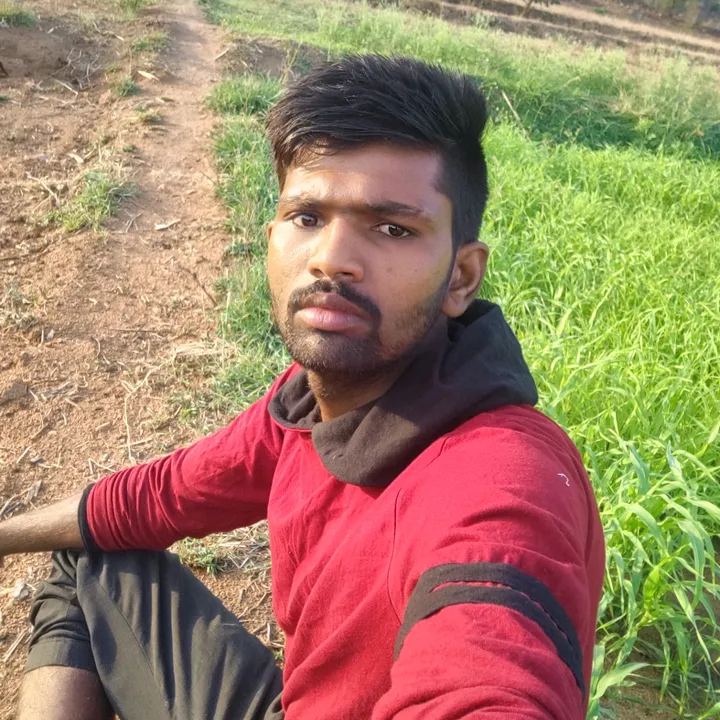 user28656779thirupathaia