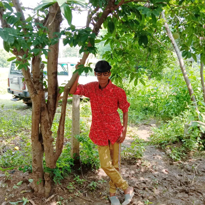 rayarkularavalira